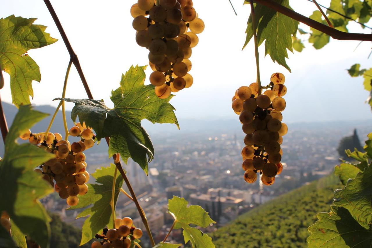 博尔扎诺Weingut Eberlehof公寓 外观 照片